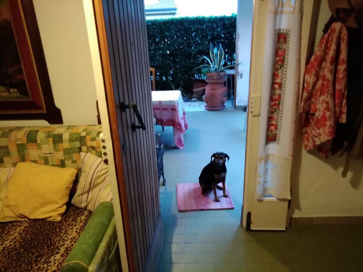 Villetta Stella Cecina  Zewnętrze zdjęcie